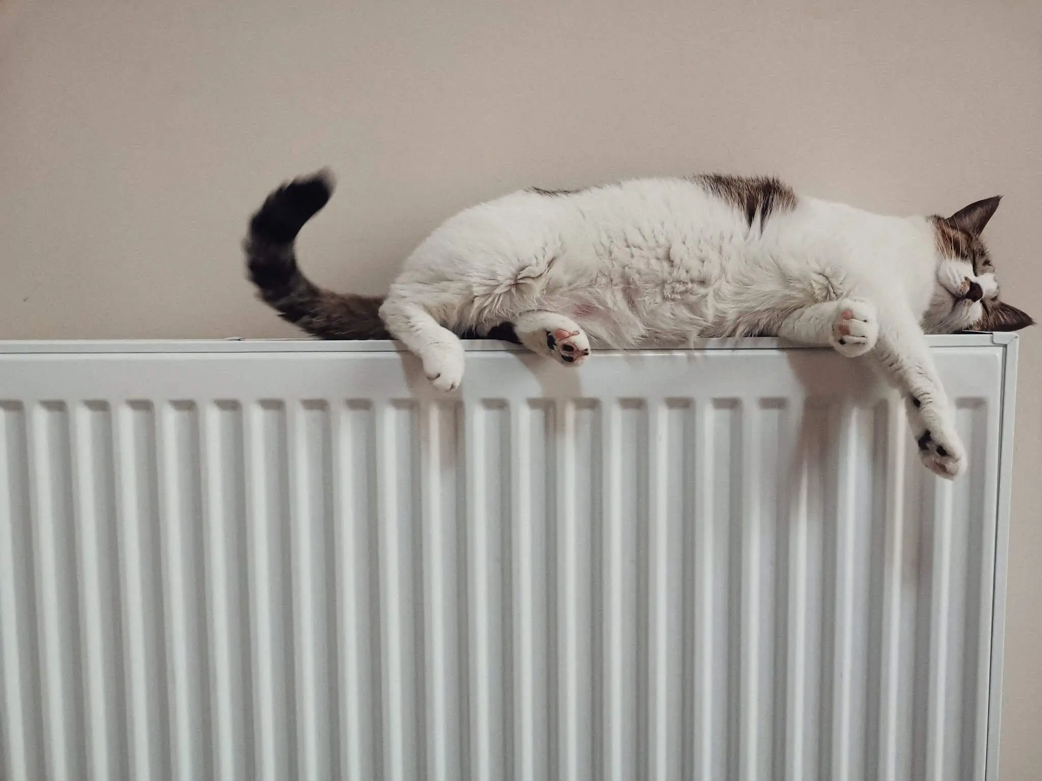 Boiler malfunction