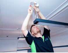 Copy of Copy of Untitled